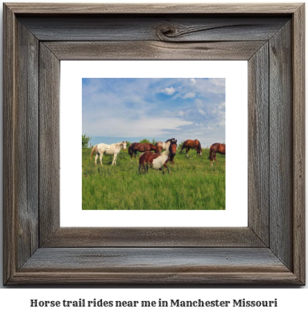 horse trail rides near me in Manchester, Missouri